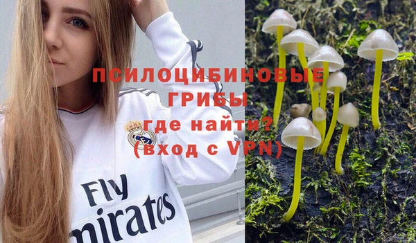 каннабис Абаза