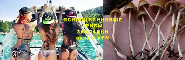 герыч Алзамай