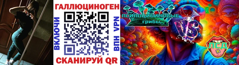 Галлюциногенные грибы Psilocybine cubensis  цена   Новомичуринск 